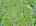 Blurred preview of media: DJI_20260527103459_0002_D_3_D_4_D_easyHDR