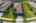 Blurred preview of media: iPixx_10_11
