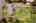 Blurred preview of media: Aerial 07 Marker