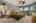 Blurred preview of media: Firebrand Dr-67