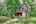 Blurred preview of media: IMG_3084_5_6_easyHDR