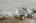 Blurred preview of media: 261121 Rowe Rd-42