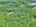 Blurred preview of media: DJI_20260527104837_0131_D_8_0132_D_8_0133_D_easyHDR