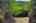 Blurred preview of media: River Terrace 17