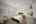 Blurred preview of media: DSC01421