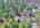 Blurred preview of media: DJI_20260408121604_0463_D_4_D_5_D_easyHDR