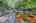 Blurred preview of media: 9zq