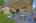 Blurred preview of media: DSC08575
