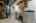 Blurred preview of media: WAL_5398