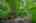 Blurred preview of media: SW Boundary st-52