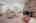 Blurred preview of media: 35