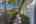Blurred preview of media: iPixx_00_7