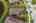 Blurred preview of media: iPixx_10_17
