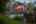 Blurred preview of media: TWI-TEL01186-HDR
