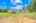 Blurred preview of media: 2-926-1679