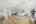 Blurred preview of media: 5106_Paseo_del_Pavon_034