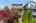 Blurred preview of media: 1-2