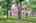 Blurred preview of media: IMG_1021_2_3_easyHDR