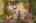 Blurred preview of media: 21 Marker