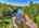 Blurred preview of media: 9zzzu