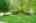 Blurred preview of media: 166 Foxridge Dr, Ancaster _ Nathan Ferro1008