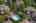 Blurred preview of media: Aerial 10
