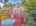 Blurred preview of media: 20251002203528830655000000-o