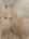 Blurred preview of media: 1-28
