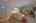 Blurred preview of media: IMG_1492_3_4
