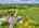 Blurred preview of media: DJI_20260723144436_0850_D_1_D_2_D_easyHDR