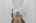 Blurred preview of media: 64 Ravina Cres, Ancaster _ Nathan Ferro102