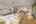 Blurred preview of media: 19625 Callaway Hills Ln-16