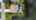 Blurred preview of media: 7439 Hawks Cliff Dr-86