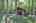 Blurred preview of media: IMG_4700_1_2_easyHDR
