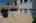Blurred preview of media: DSC01016