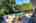 Blurred preview of media: 54