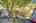Blurred preview of media: DSC09178
