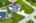 Blurred preview of media: iPixx_10_10