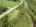 Blurred preview of media: DJI_0276