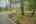 Blurred preview of media: PAX_579