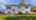 Blurred preview of media: 005