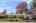 Blurred preview of media: 1-7