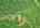 Blurred preview of media: DJI_20260604125004_0370_D_1_D_2_D_easyHDR
