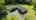 Blurred preview of media: 0003_DJI_20 Jackson Ave, North East, MD