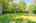 Blurred preview of media: 7 Wallis Ave, Smithville _ Nathan Ferro66
