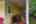Blurred preview of media: 20250808L_lg_JW0031