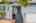 Blurred preview of media: 1-4