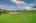 Blurred preview of media: 044