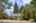 Blurred preview of media: 1-2