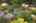 Blurred preview of media: Aerial 04